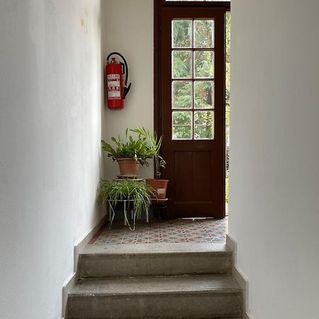 Mima'S Place زغرب المظهر الخارجي الصورة